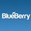 BLUEBERRY LLC