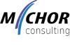 MICHOR CONSULTING AND TRADE SERVICES GMBH