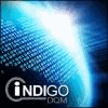 INDIGO DQM DATA MANAGEMENT SYSTEMS