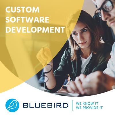 Costum Software Development