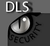 D.L.S. SECURITY