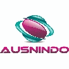 AUSNINDO CONSULTING GROUP